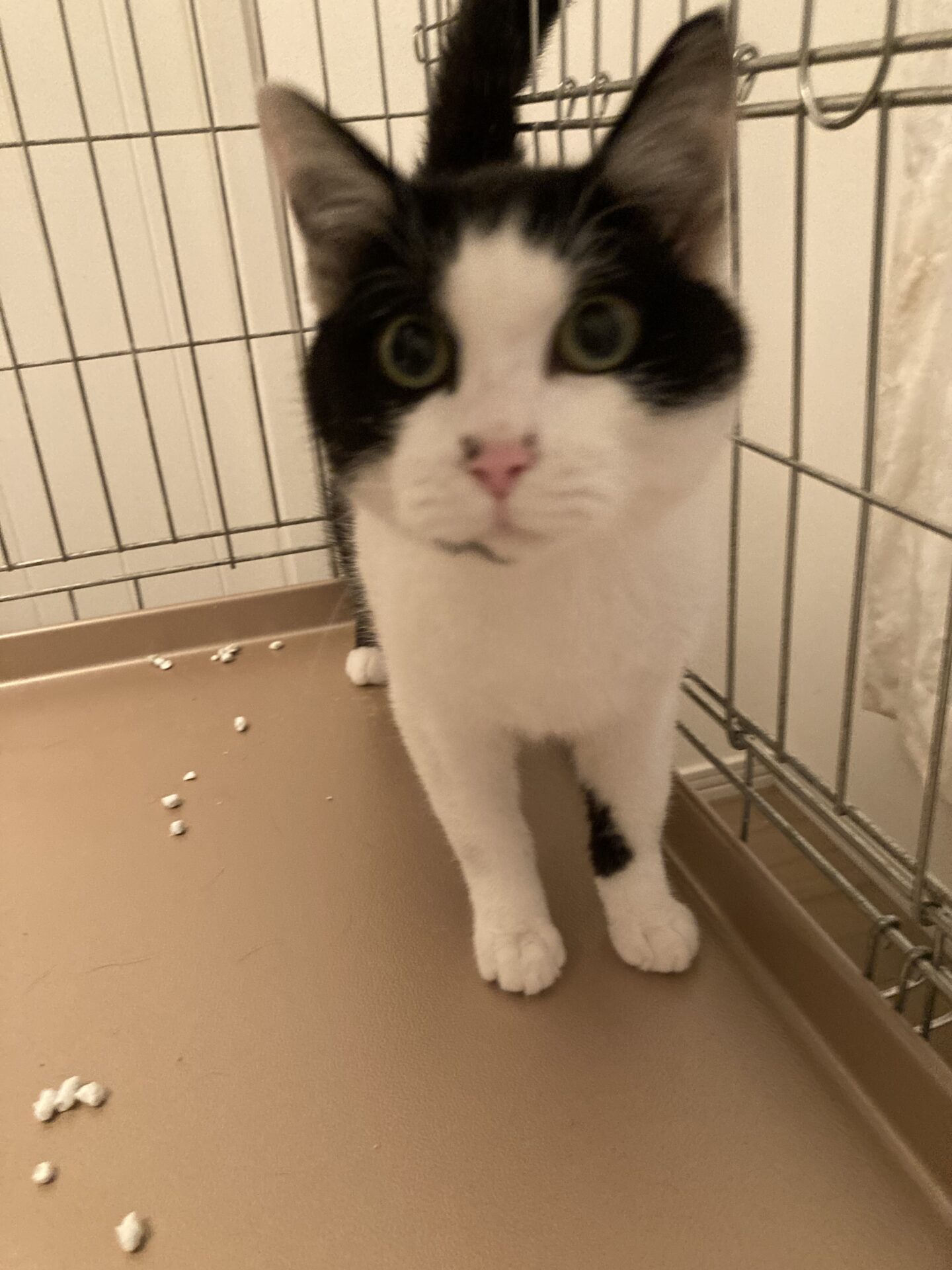 B46C8011-9B58-4D27-857F-841BB4044926