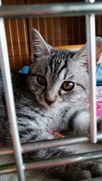 2021-11-19-12-47-26-109_(1)