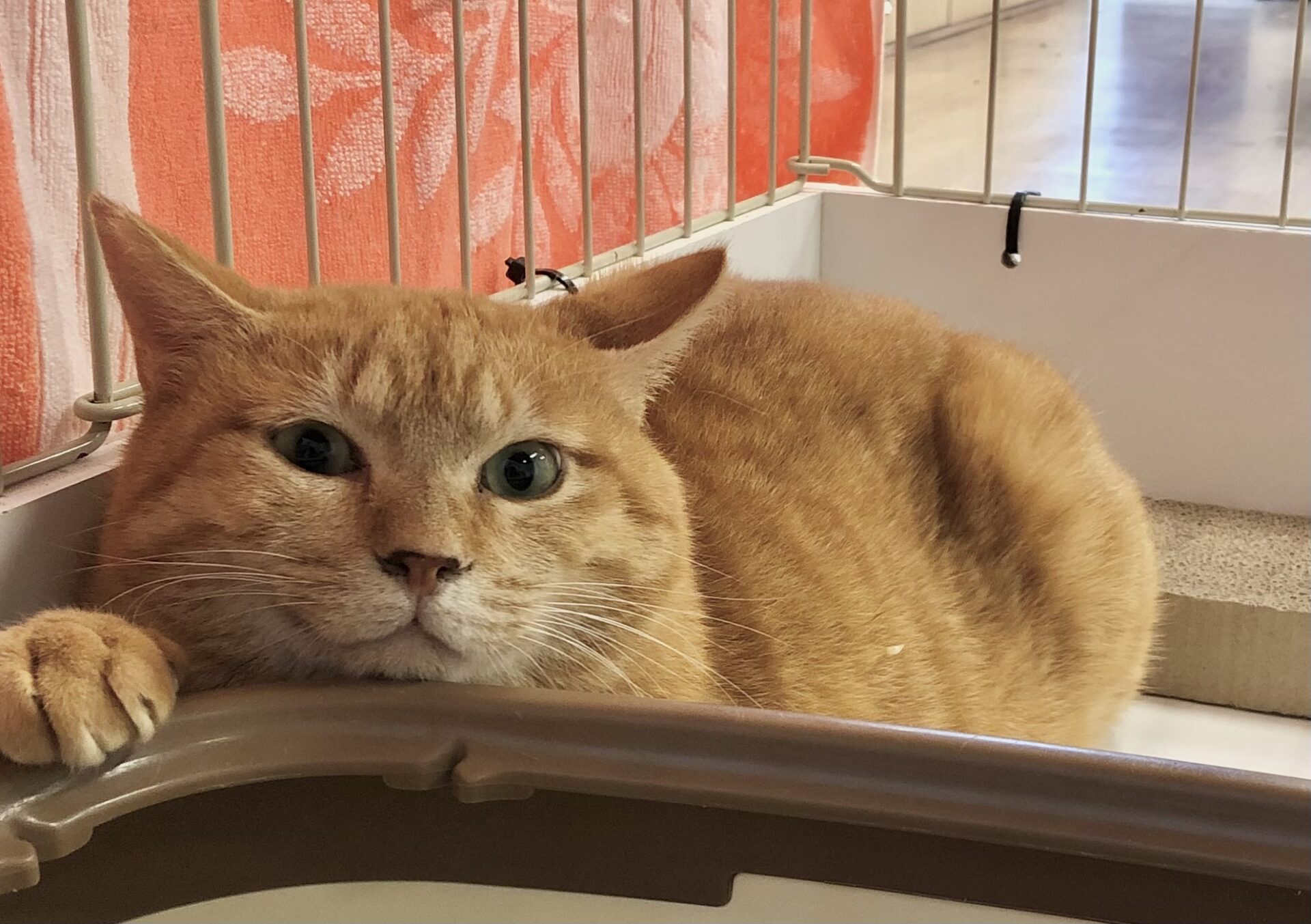 60CE68B5-37F3-479E-BD05-8AF0C4831827