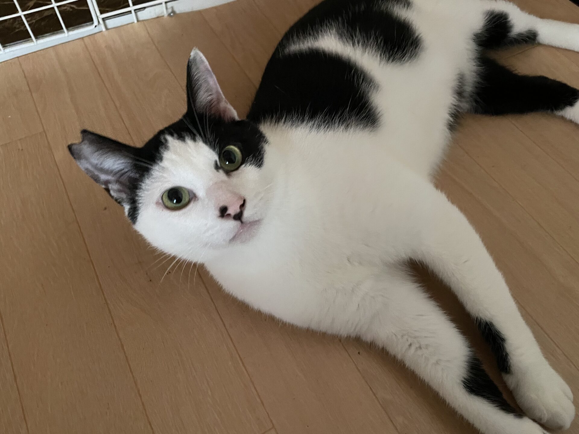 A23DC6F5-253A-4C59-9C59-877E62FD1CFE