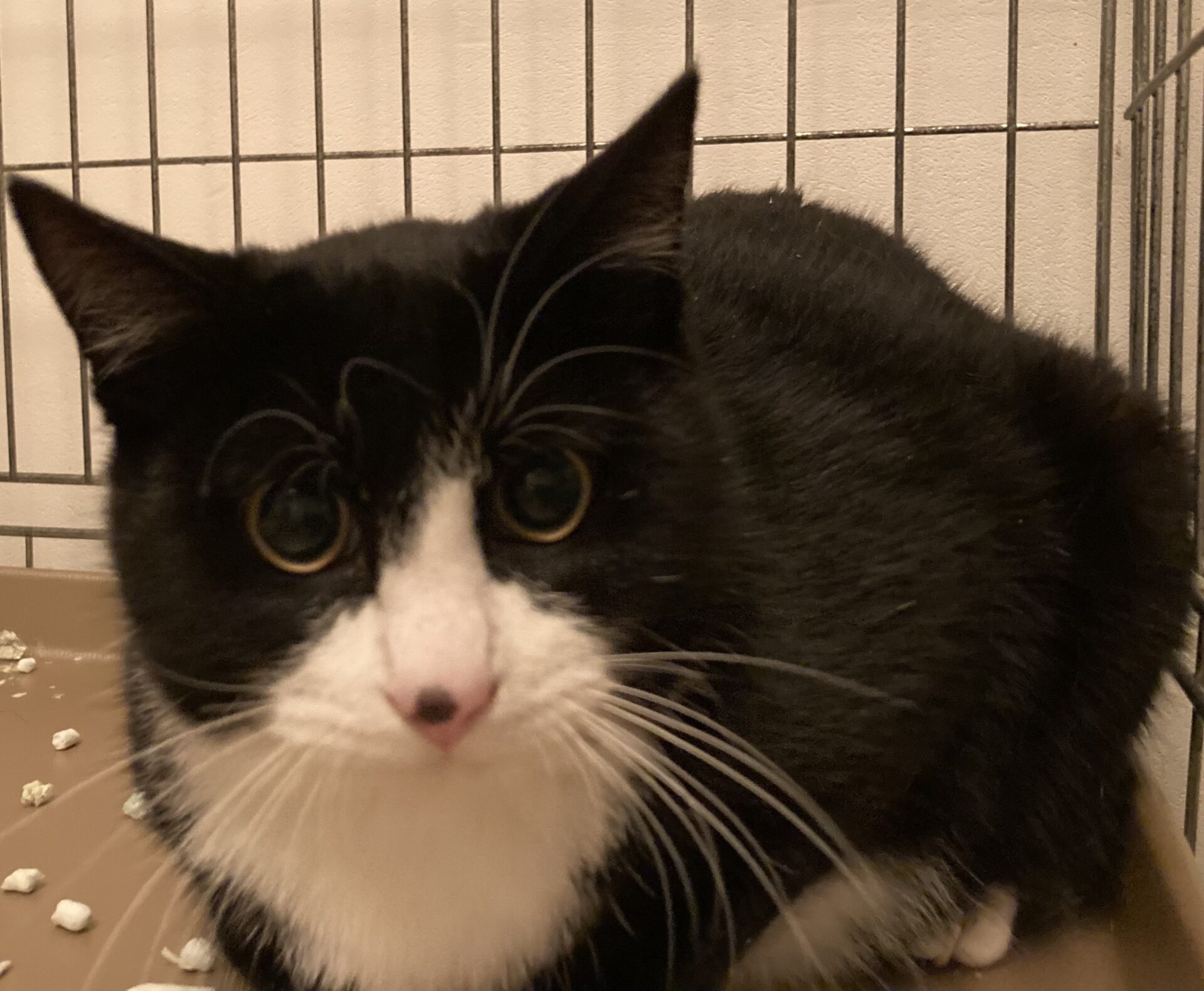 A5FE979A-7244-4A8B-A2DC-CCCE90669A3C