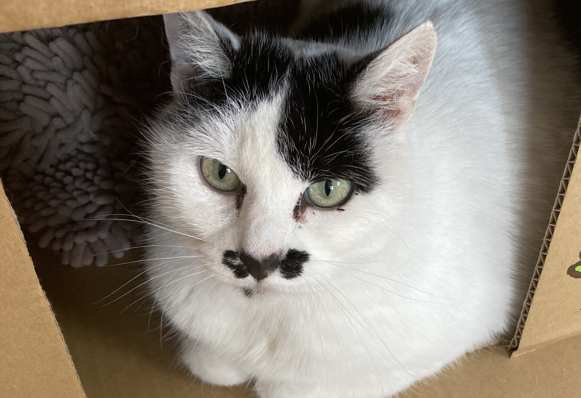 AF860838-06F3-47B5-AE72-62E3C8B4229B