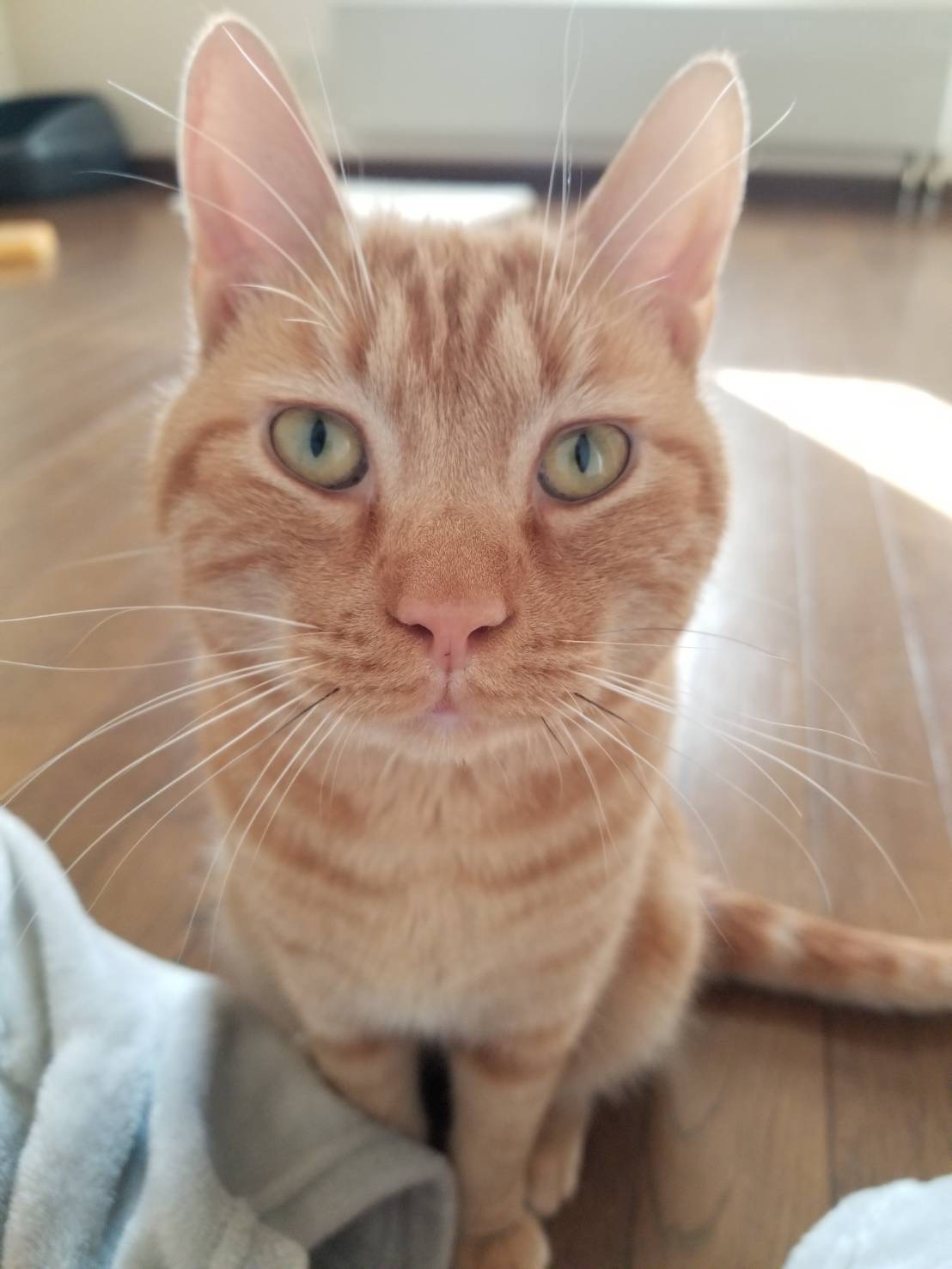 B4D6E8A4-7092-4769-9318-84E5B1AE0841