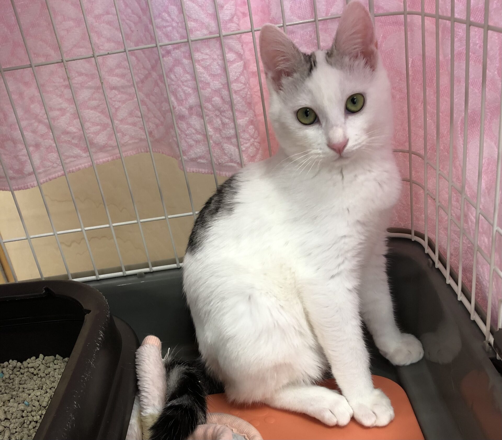 C151639B-46E1-4C6C-80EB-6B45DB7E0E9A