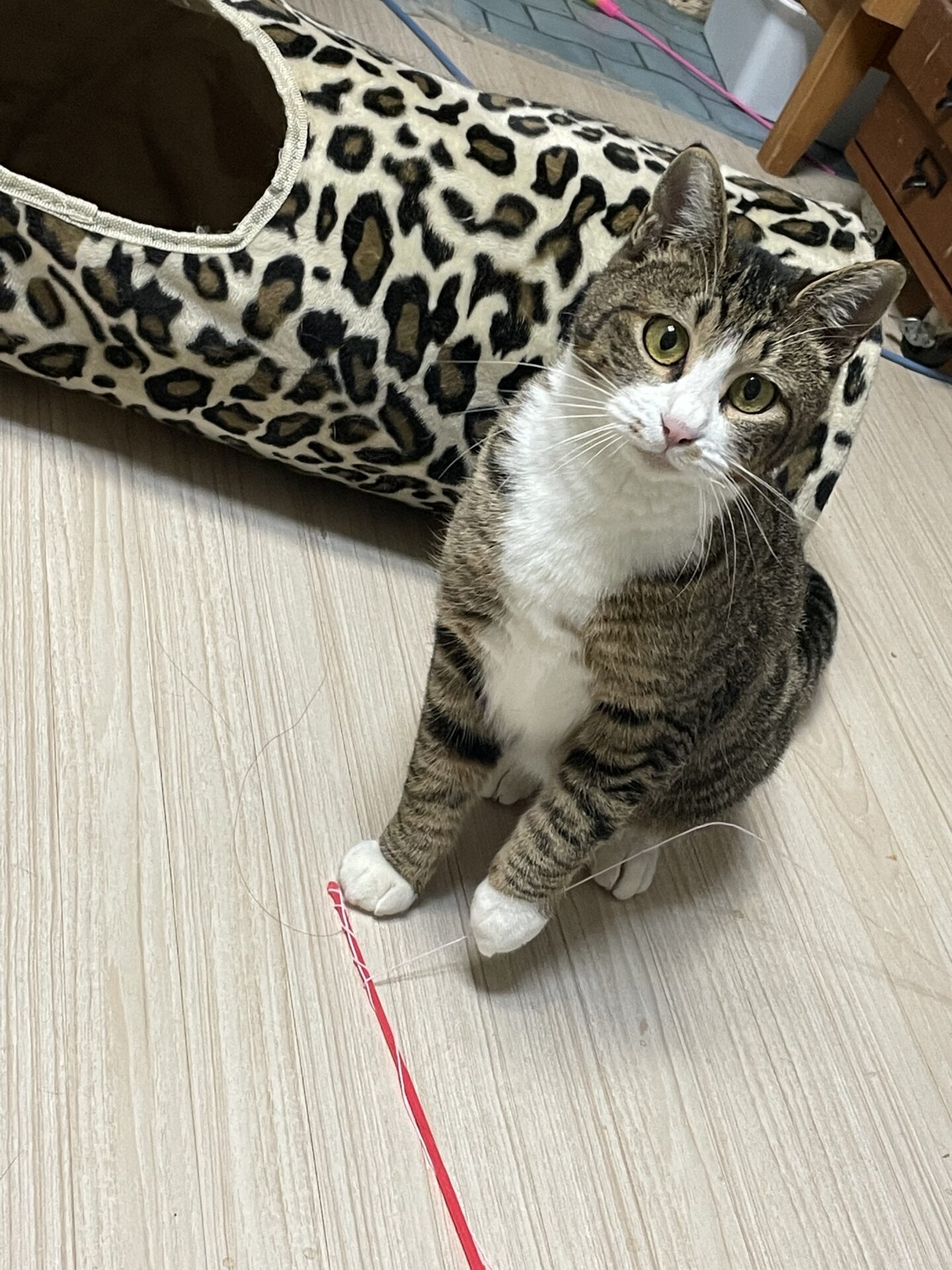 CC20F6A0-577C-49E9-A4B0-205FDF871660