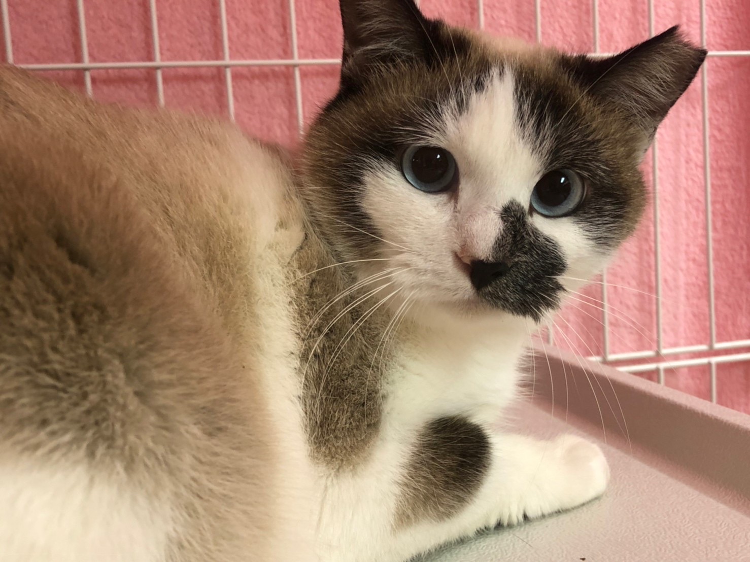 D6615102-B8E2-4F0B-8659-9F2F5BA8F057