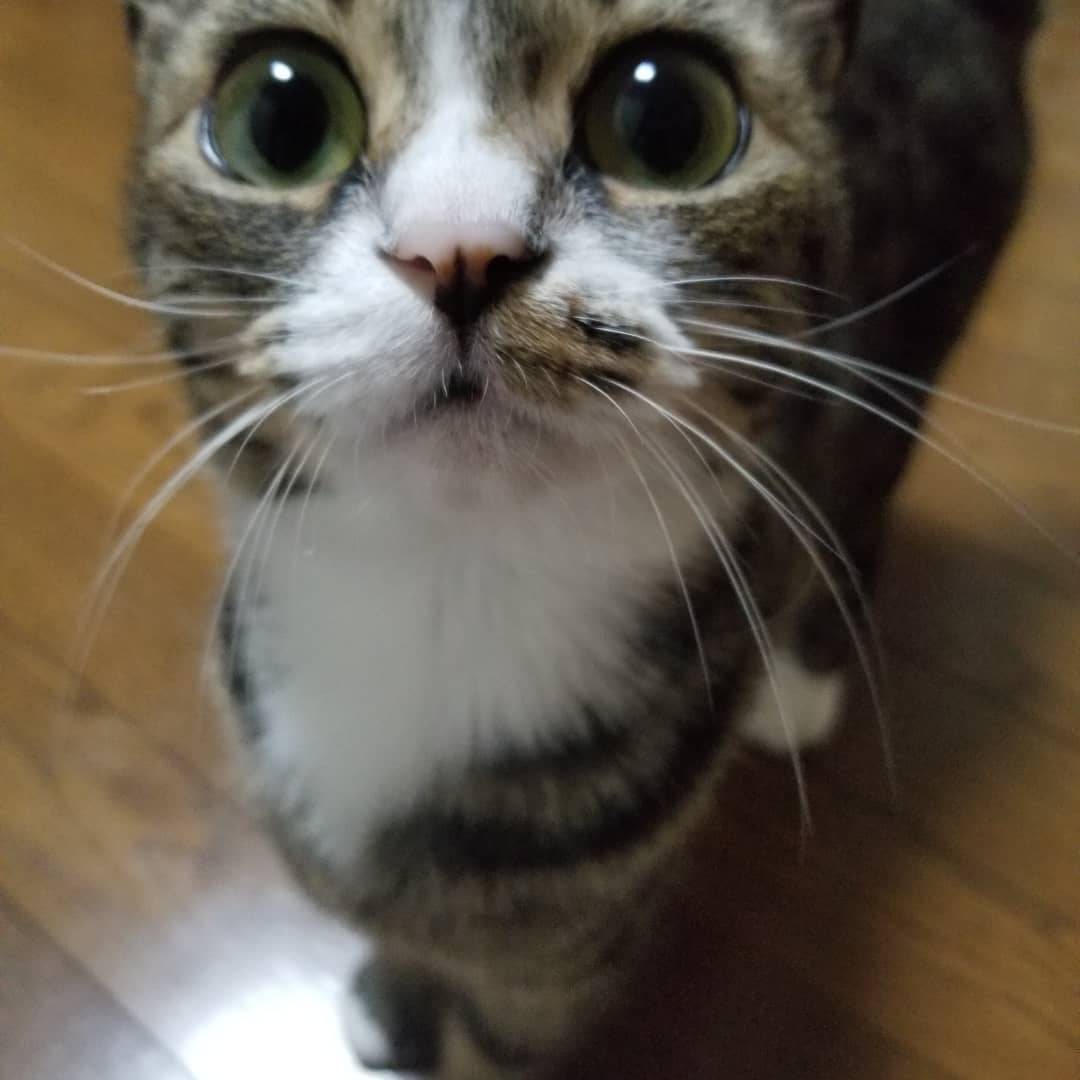 EC3B3E0F-2AA2-4AB8-9A9F-3AFFD162412E