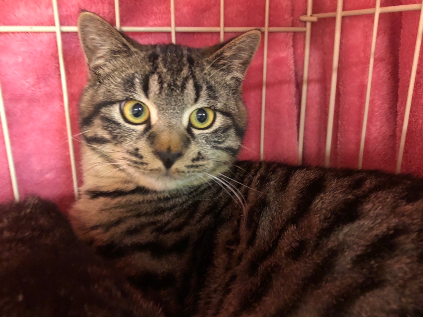 F110E219-1EFF-4BC1-BC56-F30848C6D668