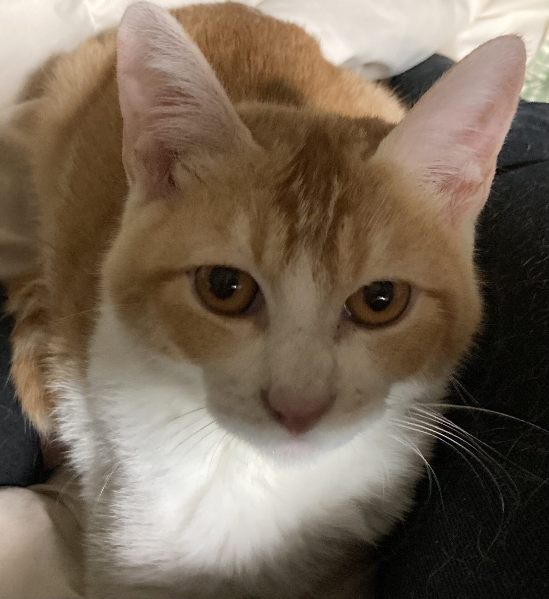 F9720957-B1D9-4F3E-919F-EFF9CCA91B88