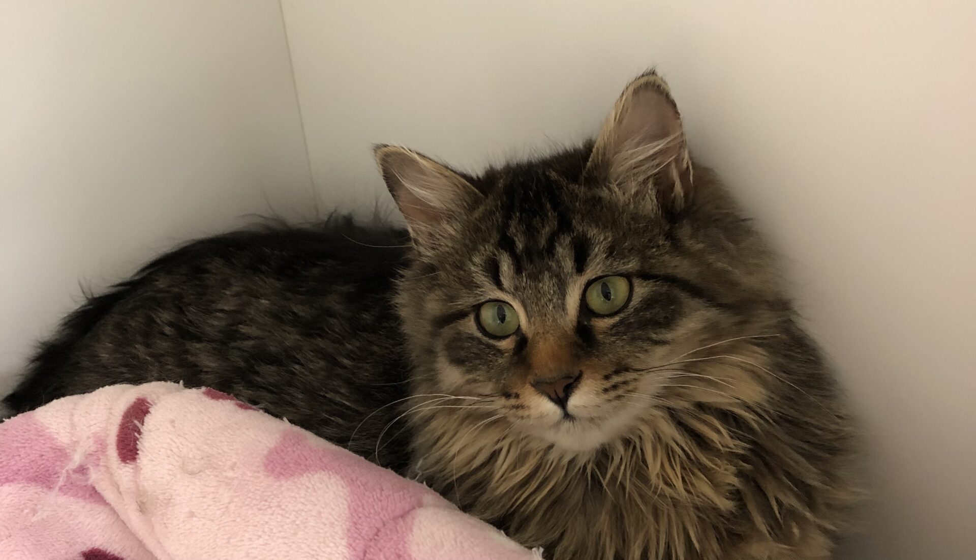 001FCF60-D85D-45E1-A544-B0D06C4A1620