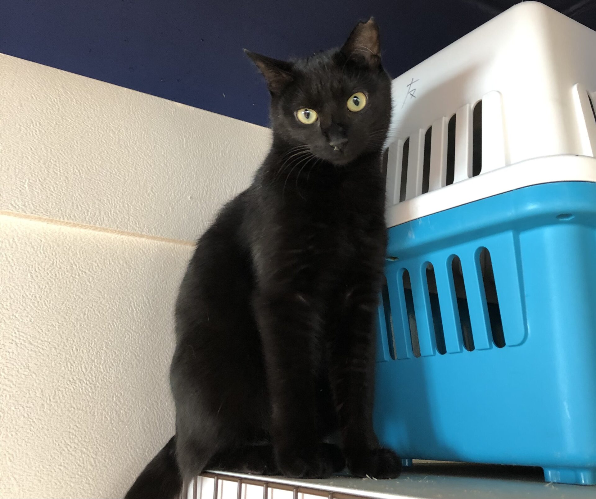 FB14BEF2-3AC2-4731-B896-0FC677307A91