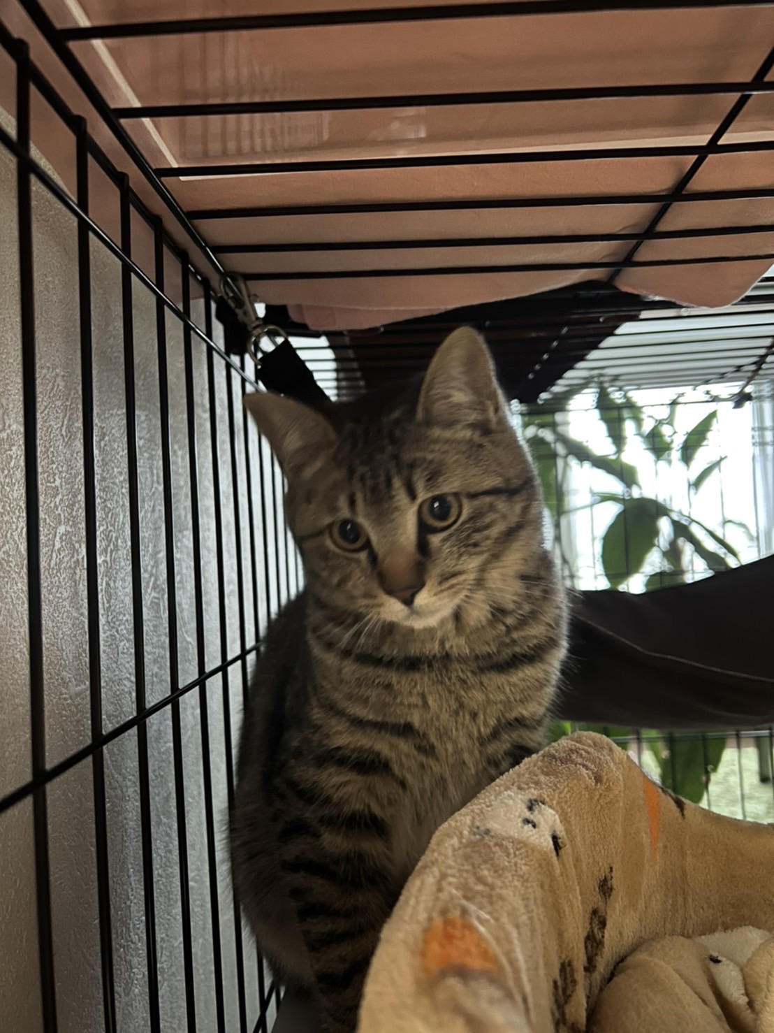 036D95FC-7CAD-486F-8542-74ADB47669D8