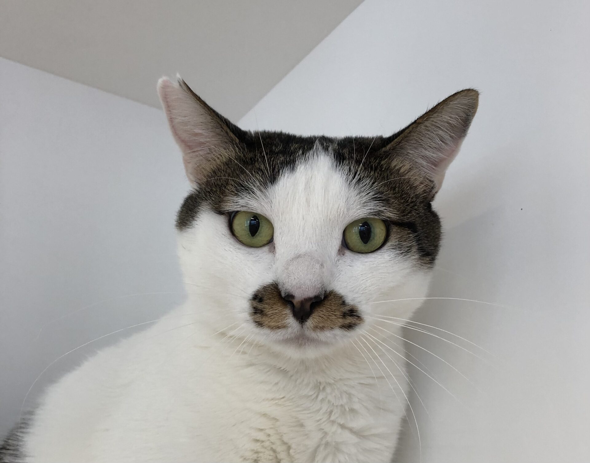 16B1A3F2-96E7-4631-8E50-493F77721A10