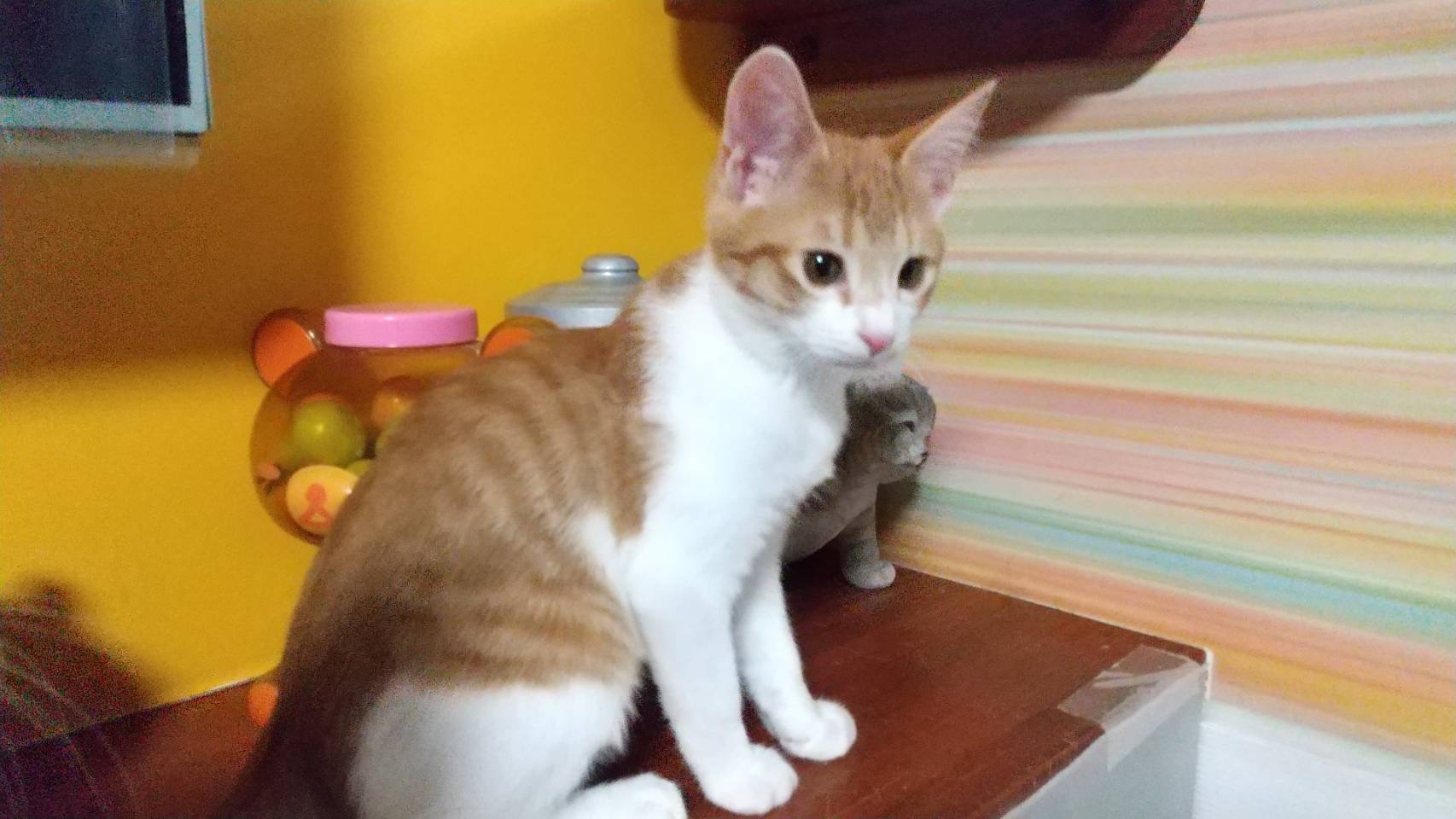 1767B651-CFC0-4536-AE98-D823E4281A21