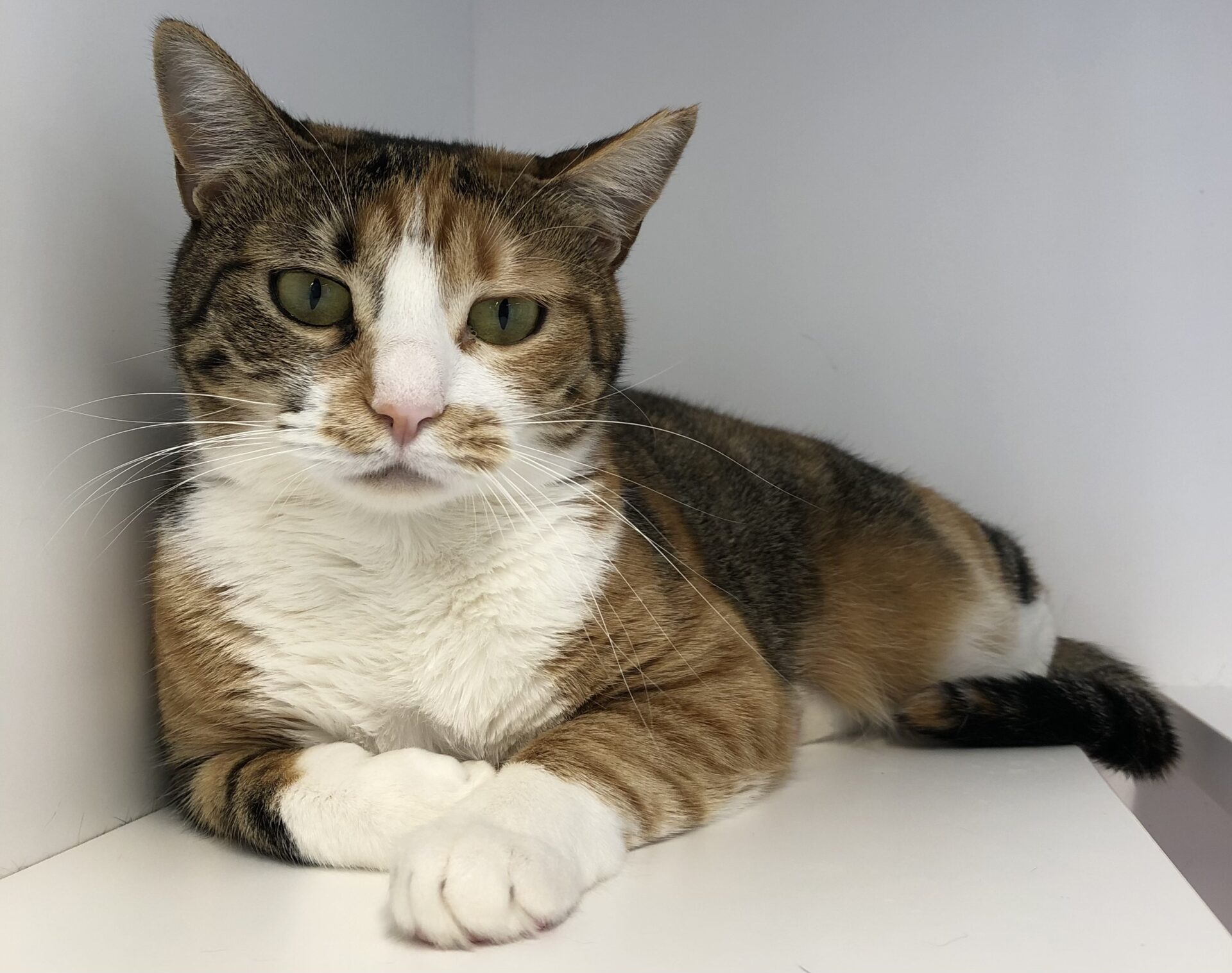 386F076C-B31B-47FB-99F0-991179E037E2