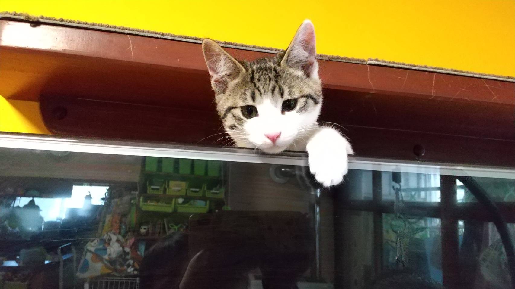 4B0DBD51-8FDC-401D-8B87-5E2FE064393F