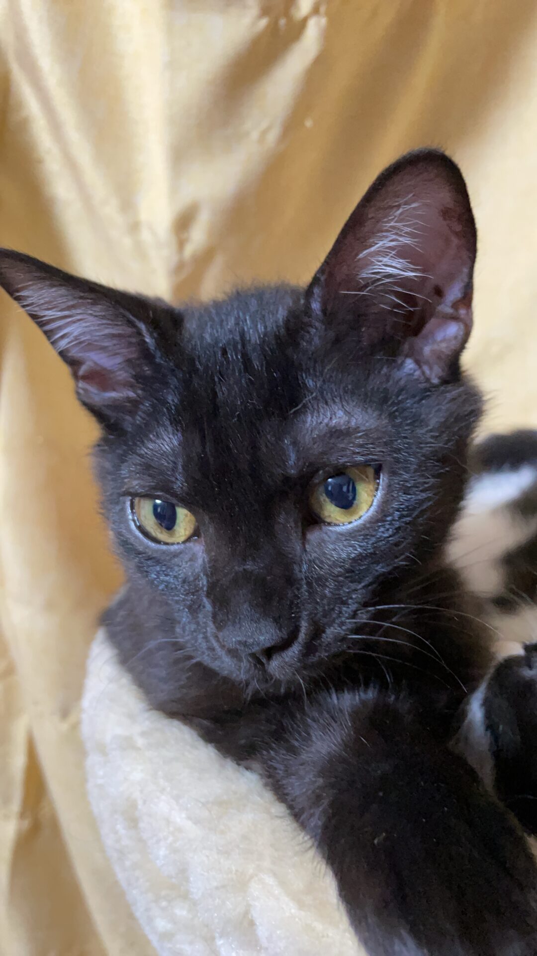 58E9BC6C-1518-4F12-8502-DE53810FA0D3