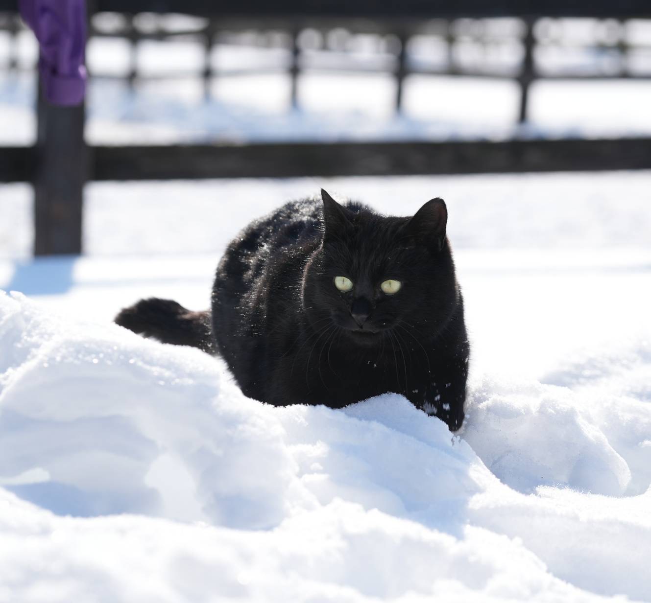 7D670DEA-0712-4B34-8B1F-5AD46D1A4A0C