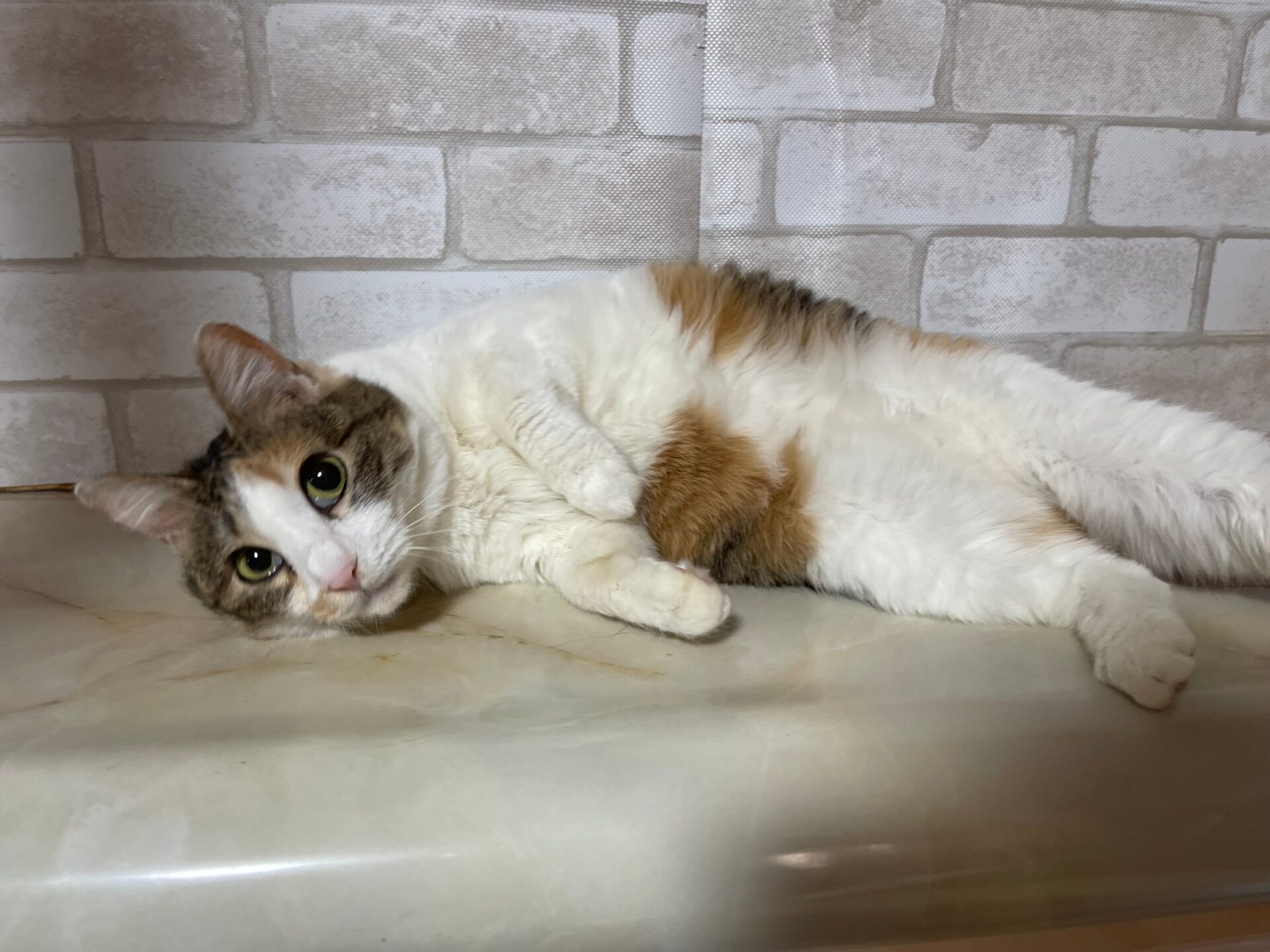 DB503C8C-6C89-4602-B9B7-D45E8B86E305