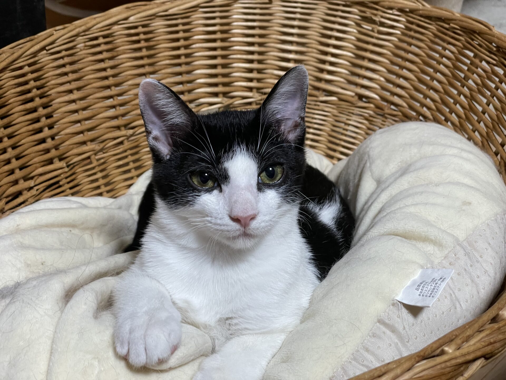 E81E8FC3-8115-4C9F-BC71-3DCCB6014F1A