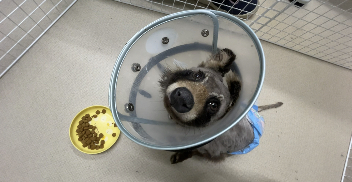 FDF530A8-BE23-47FF-B5C7-DE95FEE2848A