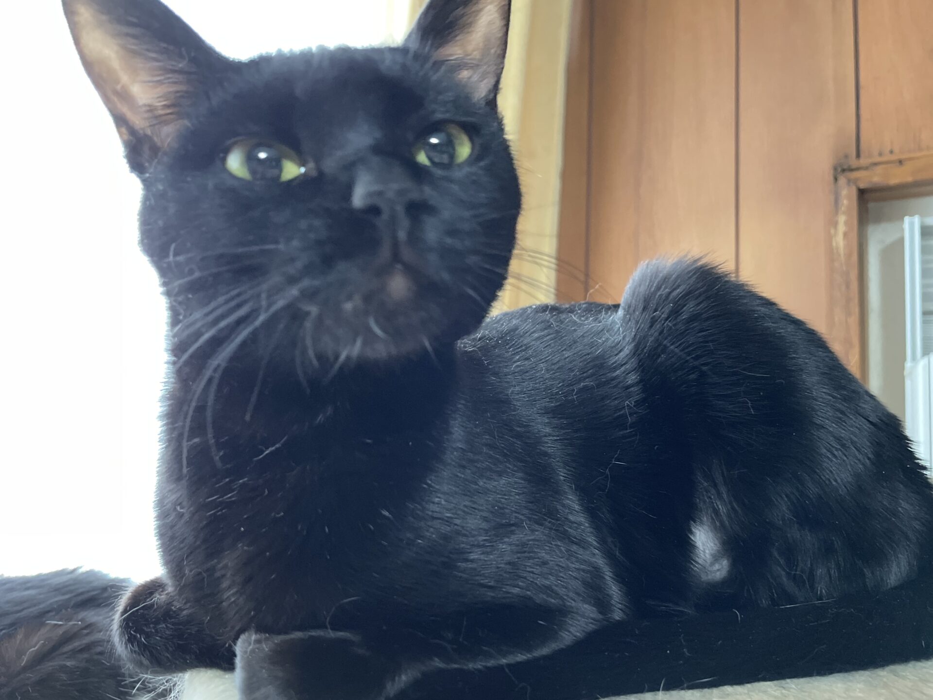 04D9974C-21E0-4D0B-A816-EB3FD58A63CA