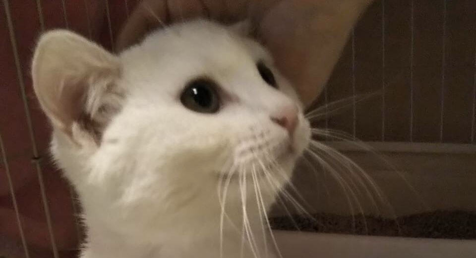 1A53FAE0-6FB3-4A48-BE42-561F16F28151