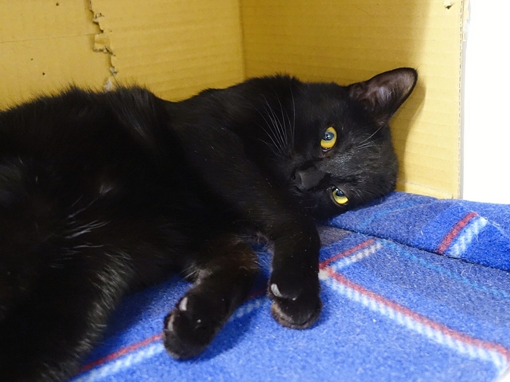 1E7FEA15-8187-40C1-AFF4-17DEC71C9DBF