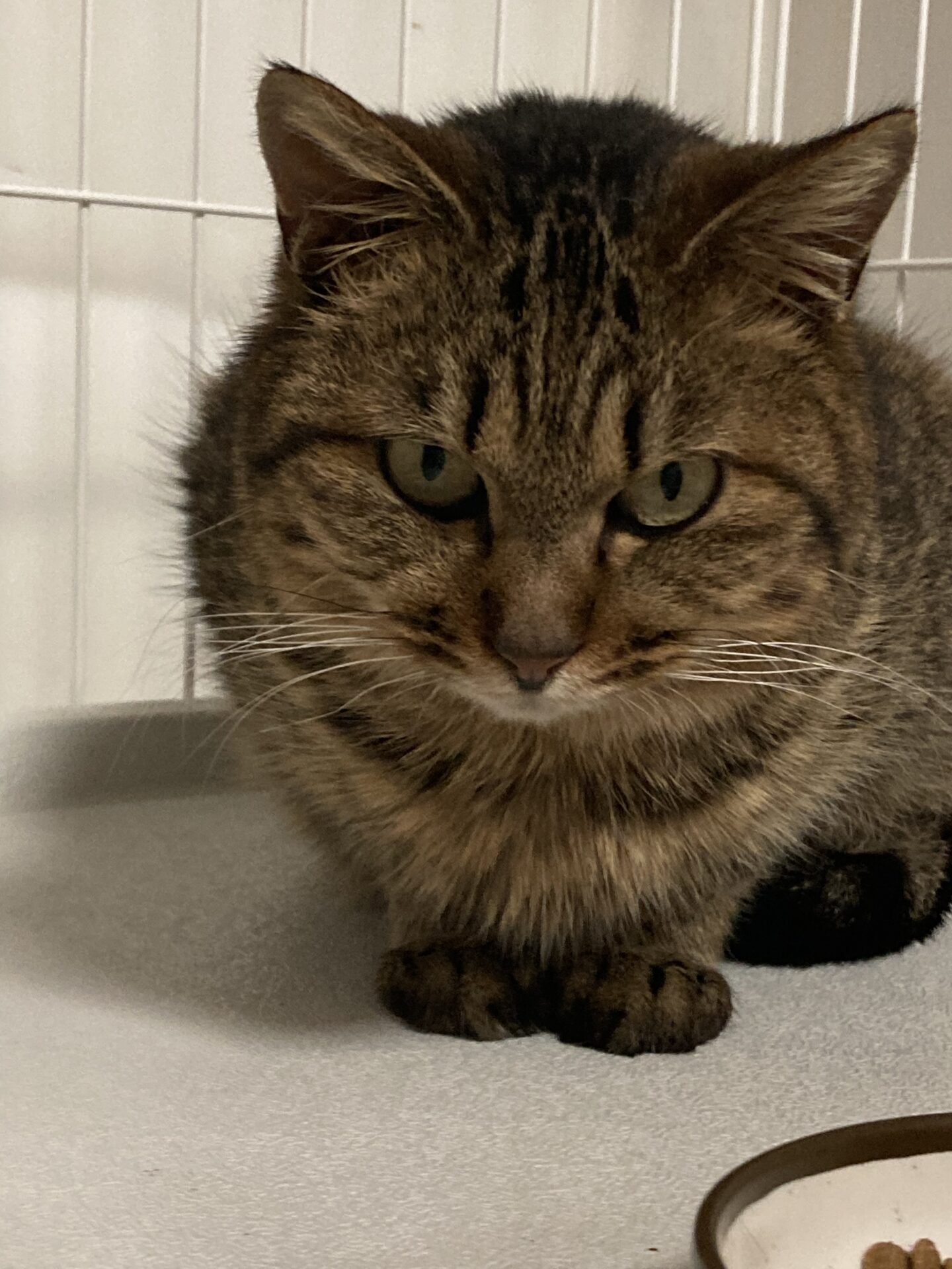 27CF7273-DC71-4297-B11D-37E88793383E