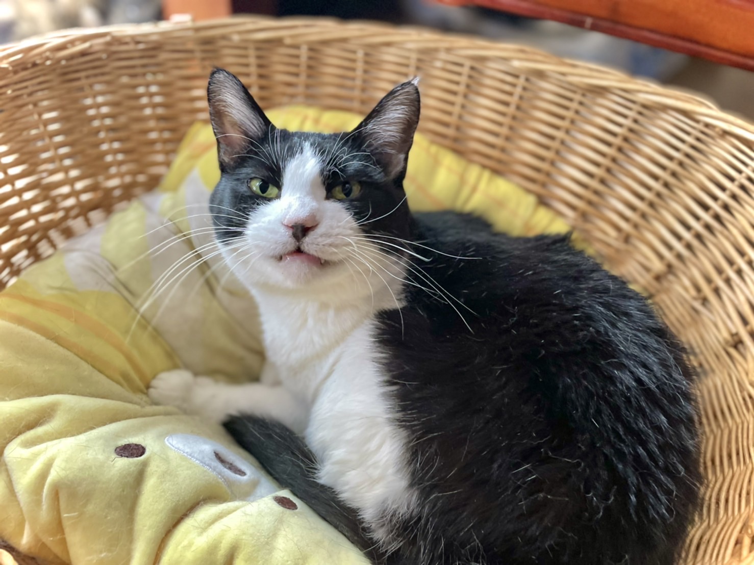 5E693BDA-65EC-408C-B827-62B1D41BCACE