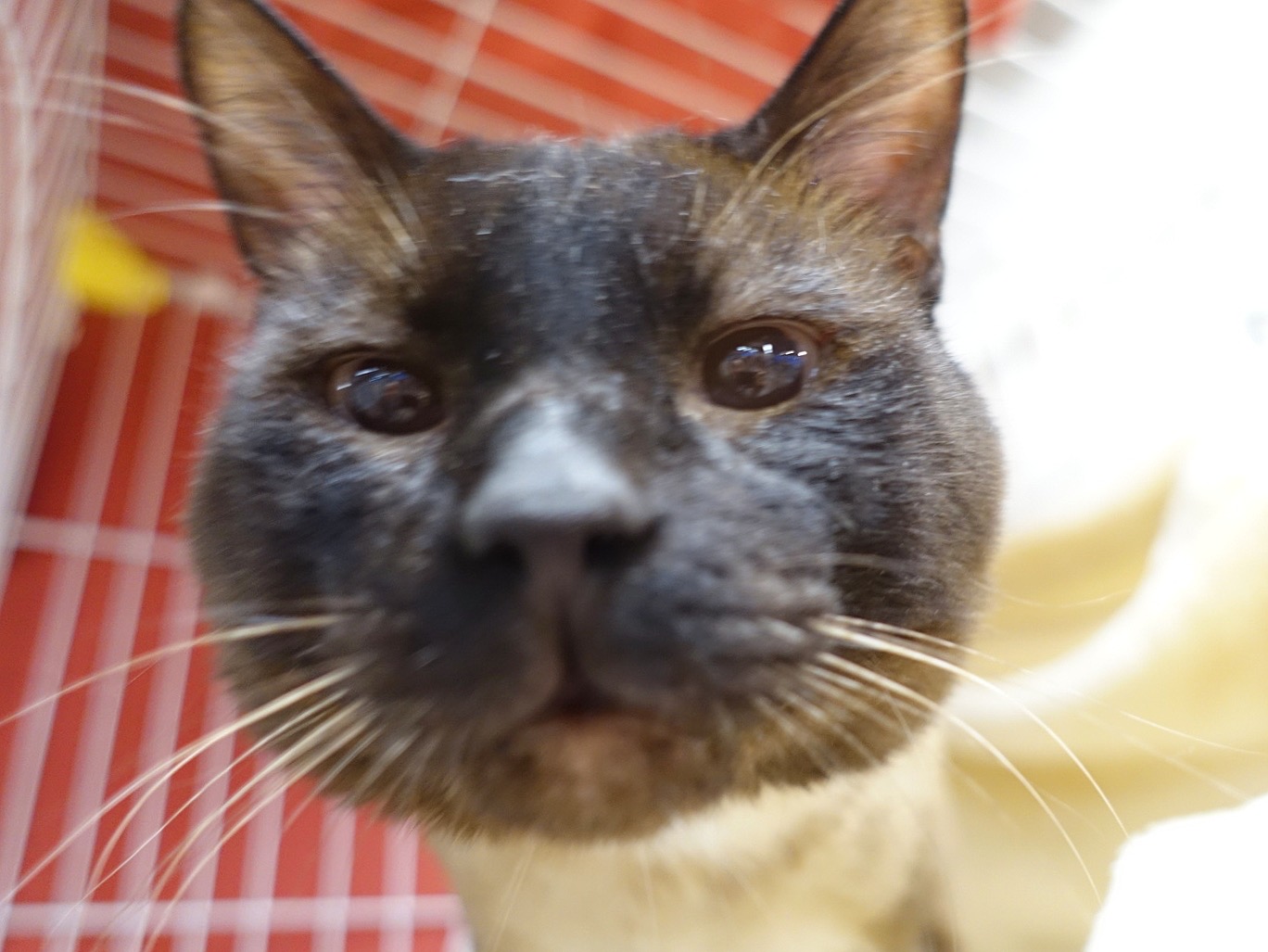 8C13B12E-8C89-43FB-8A0D-3271E04E1BA9