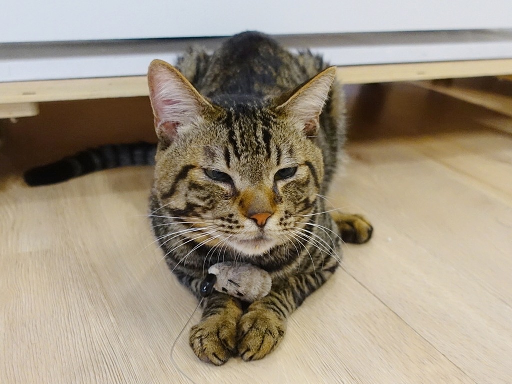 AA9FFB20-1128-4E53-A245-AEB649FF76EA