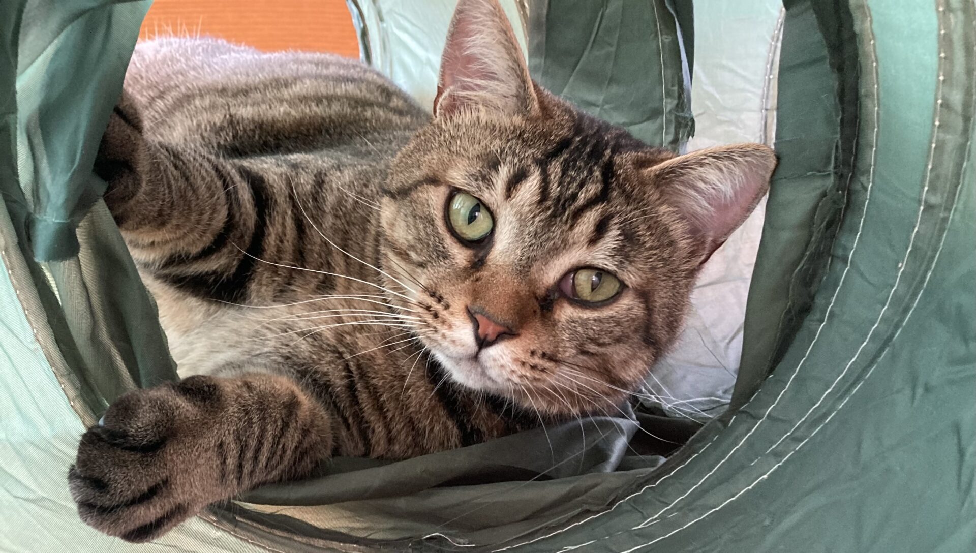 C21A8707-FA47-418A-9C9D-3D331A76E4C2