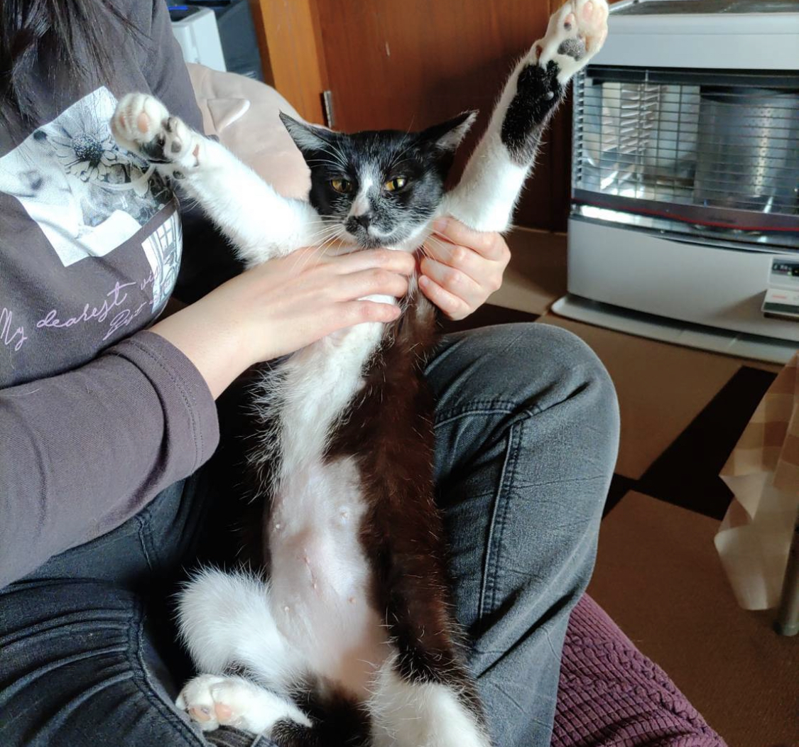 5816D06E-72BF-4DBB-B97D-135C0569D8D9