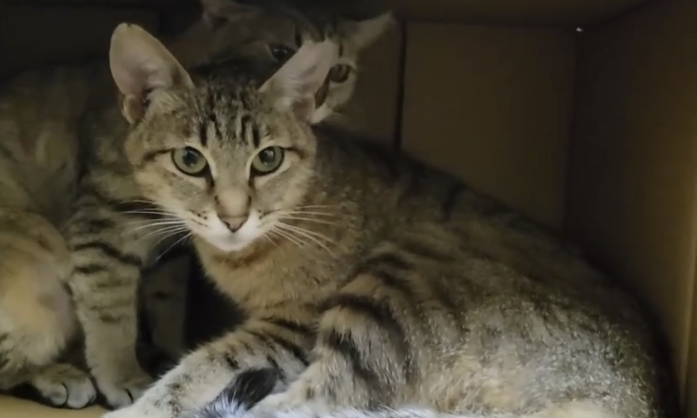 6B811116-BA1C-44B3-B5D3-585B924BFD02