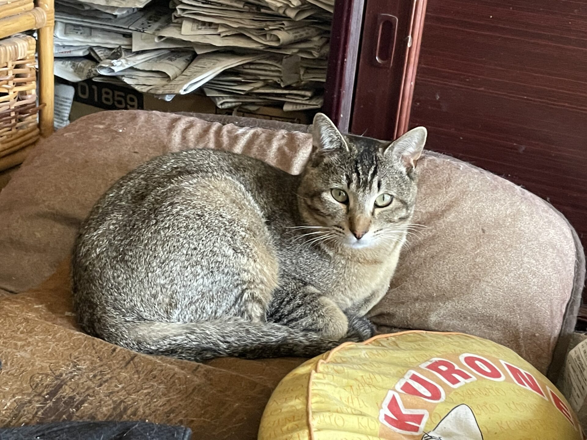 A740192D-4F50-4595-B39A-37BB04C5A667