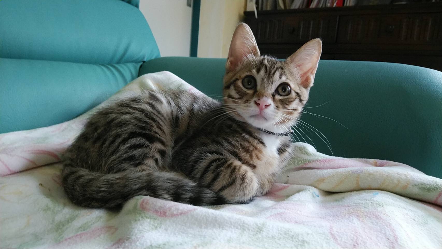 0E5D2A40-81BB-4ACE-BCD4-80A670E1DF33