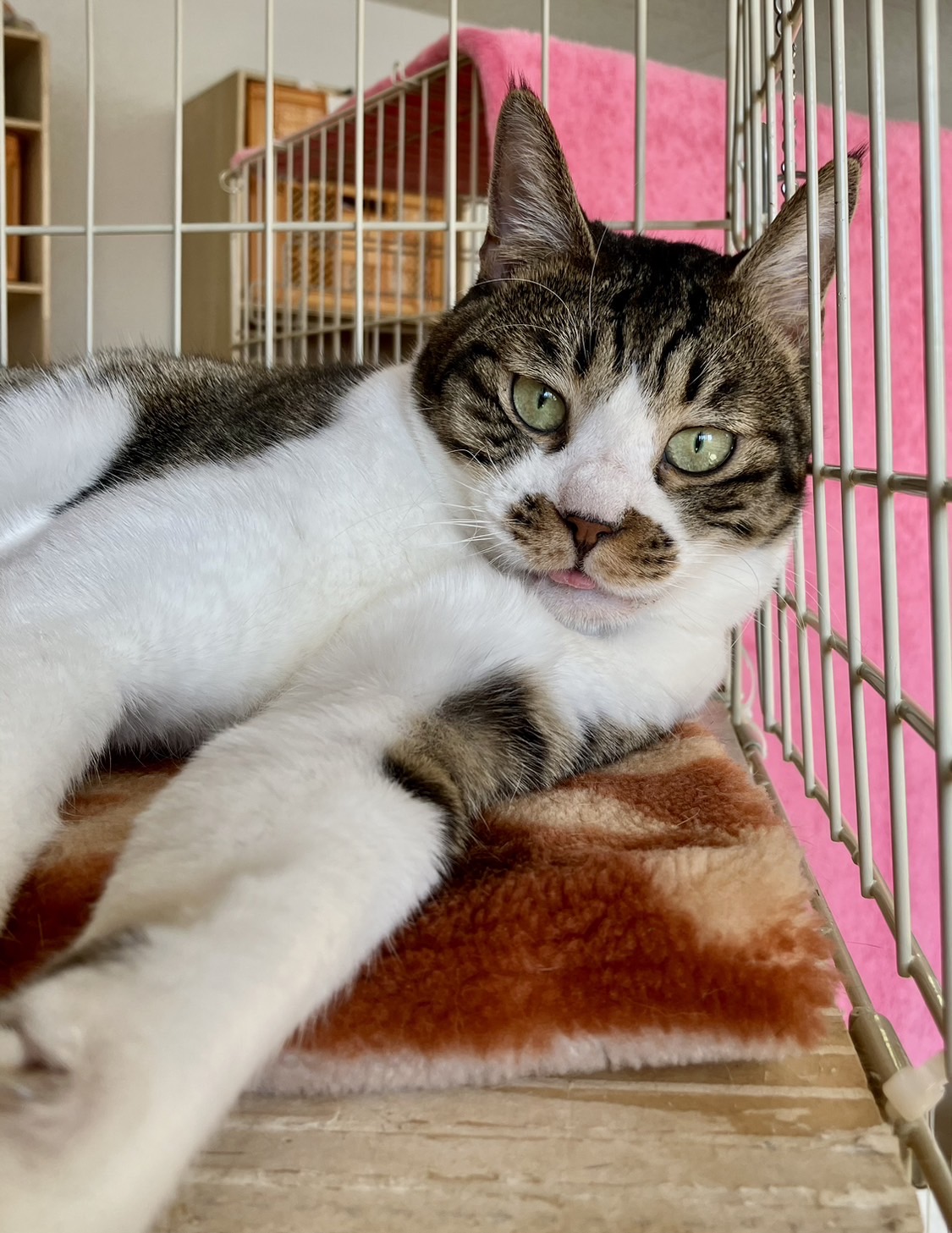 176FFEEF-7CC2-4522-A9FE-E66F34D4D963