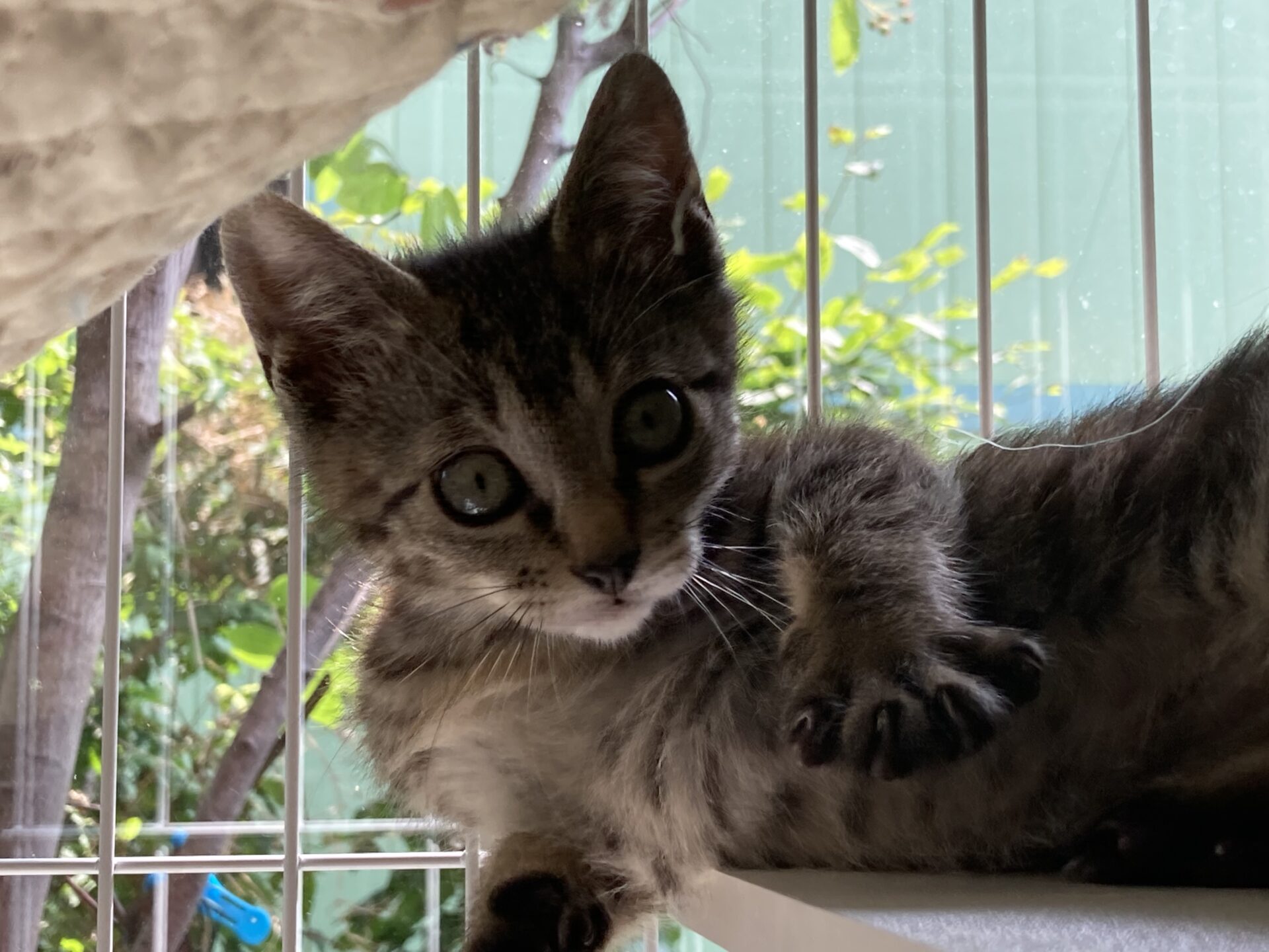 1F93FEB9-0142-47A5-BDAD-B5377B6F5A93