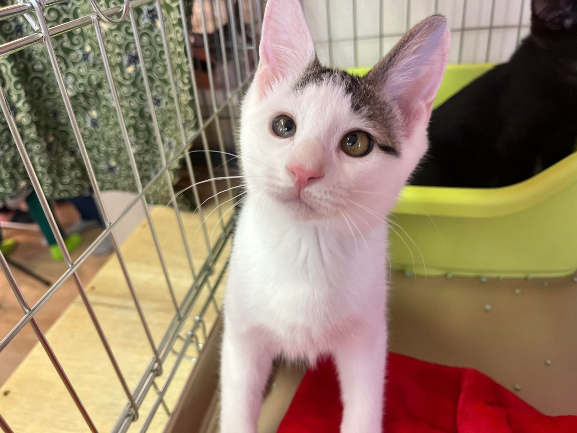 294103532_723701725583285_7312844010767482786_n