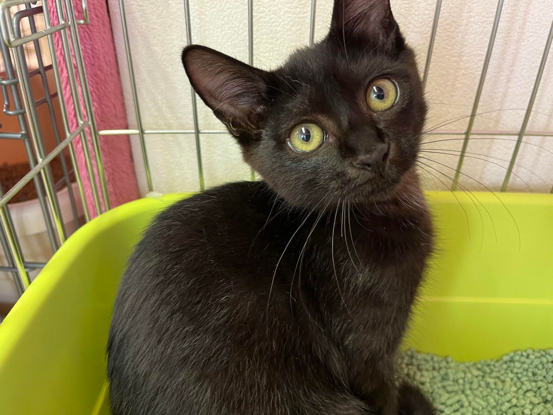 294590756_717241996016668_307018075841497098_n