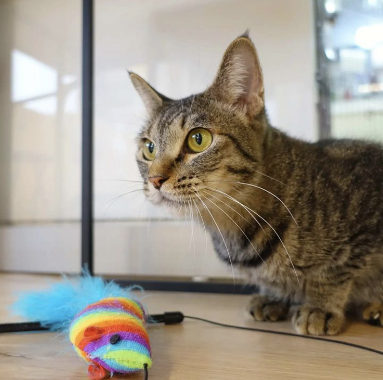 2EAF47EC-6A69-4F34-B62D-4E51D05F34E4