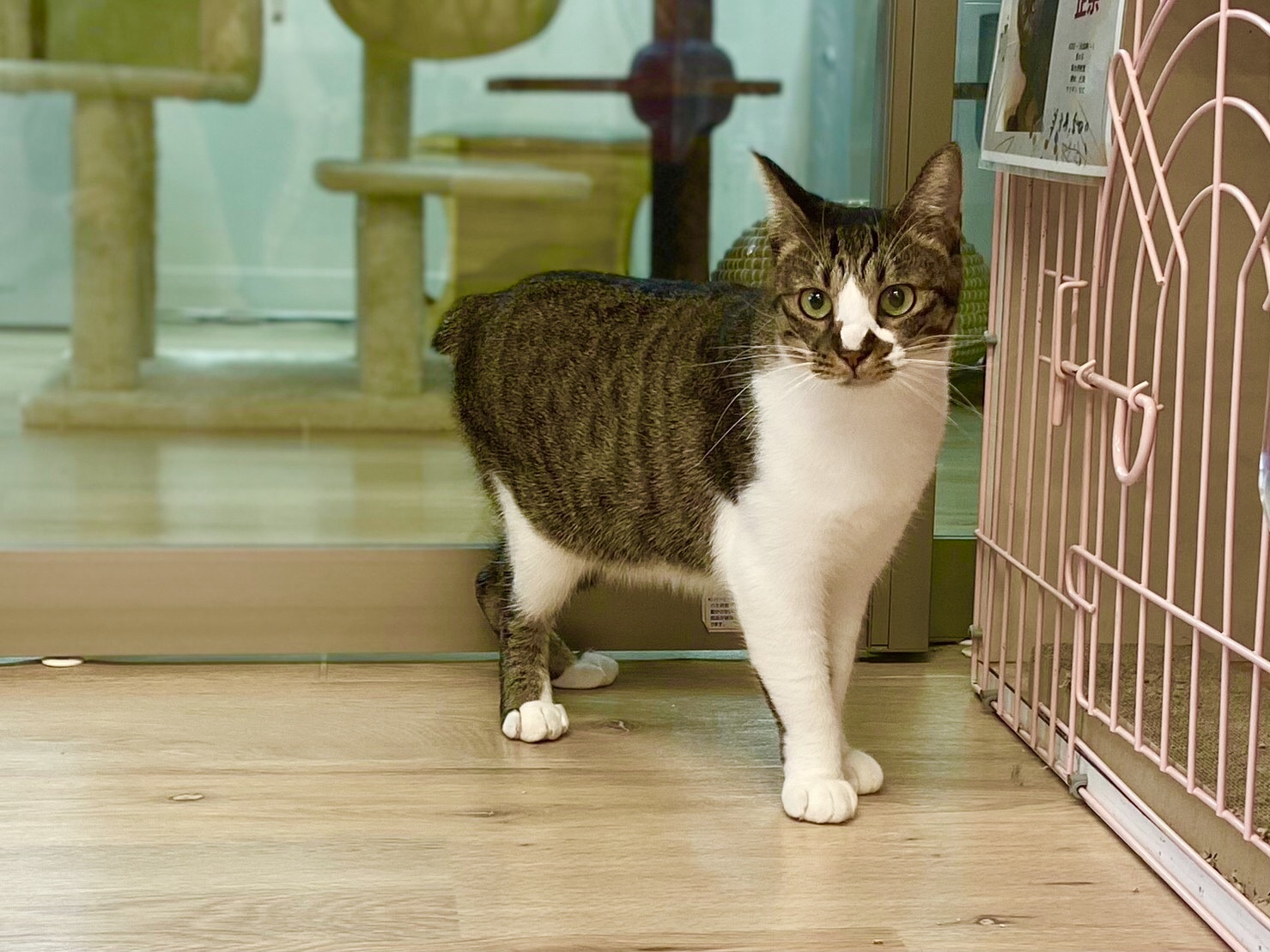 4DDD8E9B-6984-48D1-A015-33D45045E529