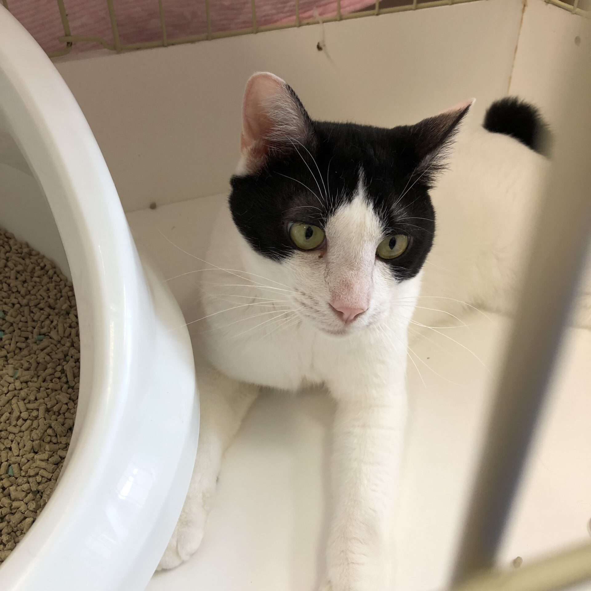 6E18B4A6-2183-43FF-9574-D3E49290A77C