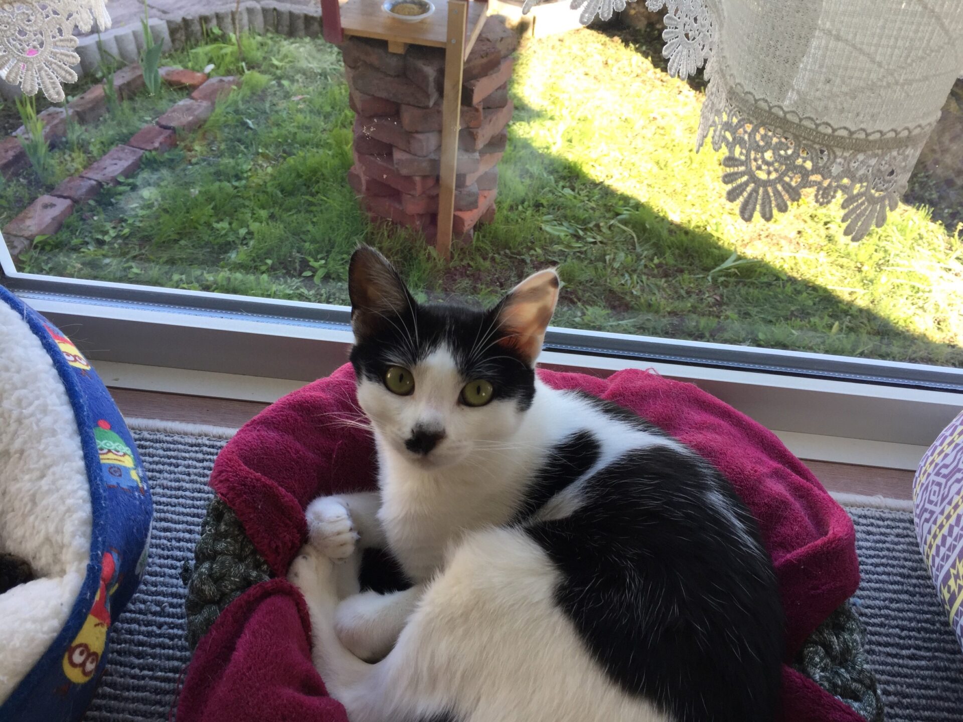 8AAB2141-9E0E-4B1F-B948-C5F0F5E89540