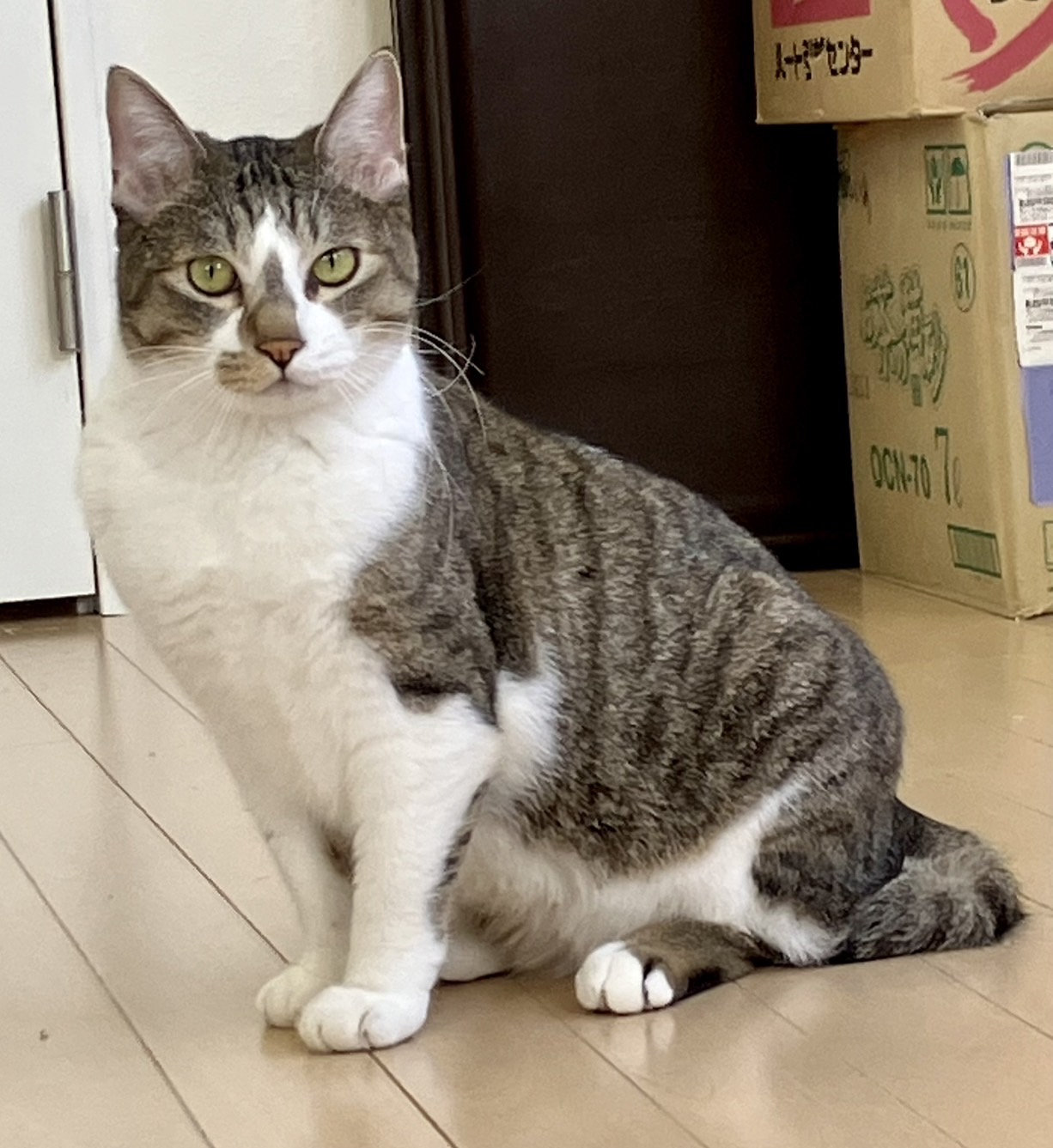 C8EA3328-DEED-45B5-9E4D-7CA1ED6DBB69