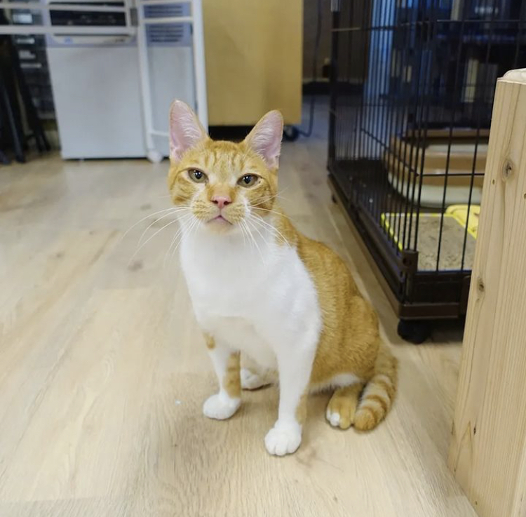 C94E3072-B5B6-4C8D-BB13-ABD1340D2725