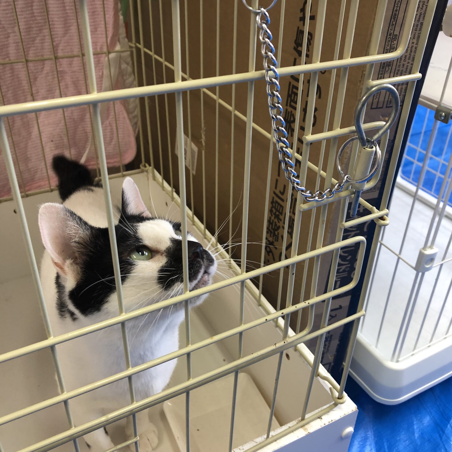 CE33BCF0-9D6A-4C33-8BC8-142CEEF7189B