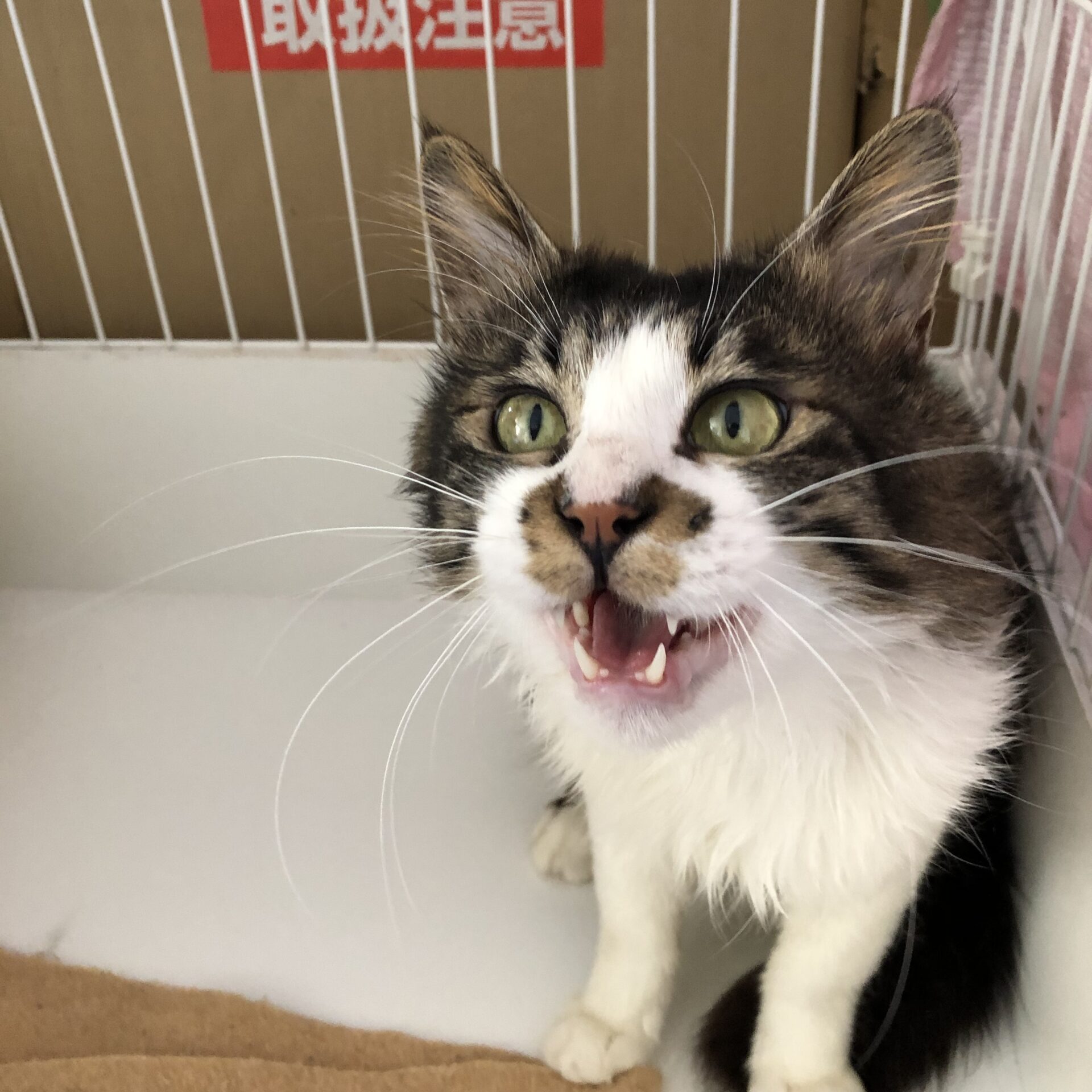 D0D53001-2B61-438C-8129-0EA6155B00D3