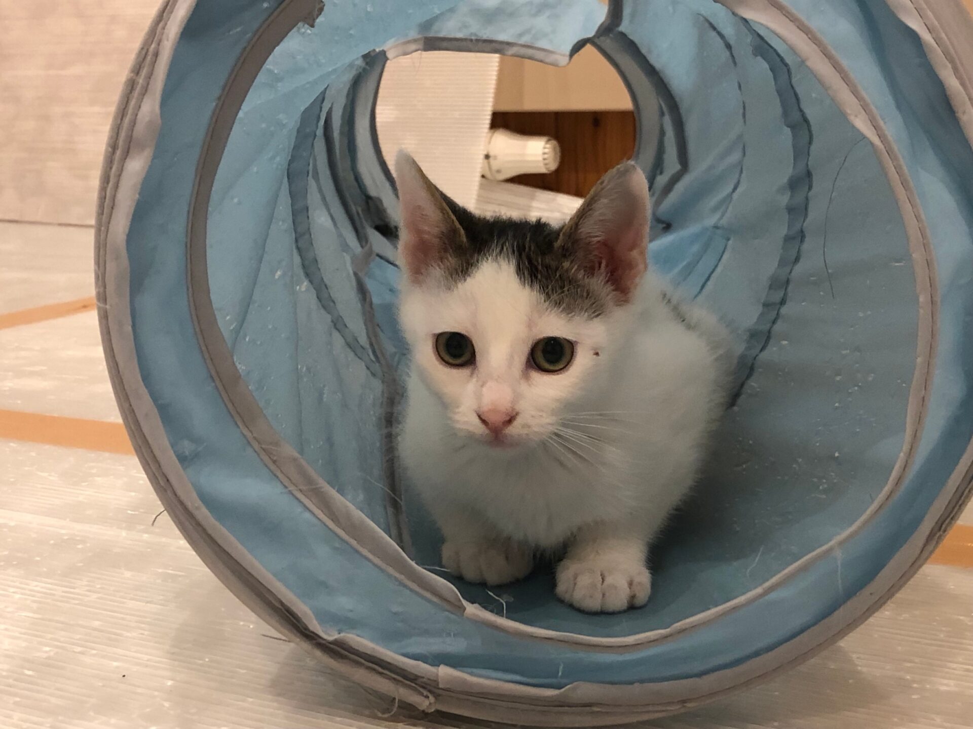 F0C22D2E-0124-4623-8ACF-A5E15644CA41